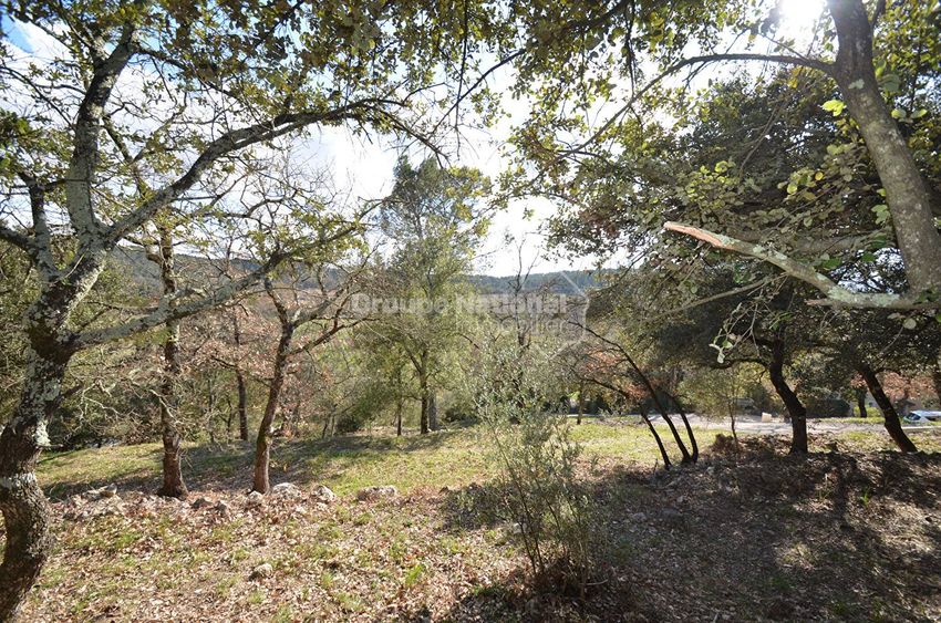 Image de terrain à Flassans-sur-Issole