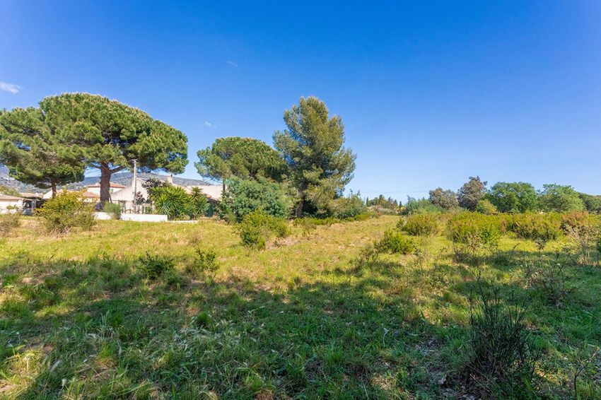 Image de terrain à Bormes-les-Mimosas