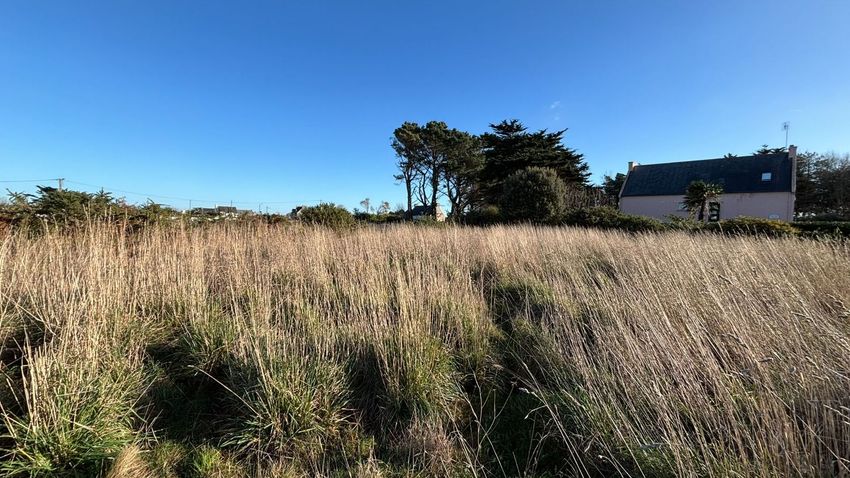 Image de terrain à Penmarch