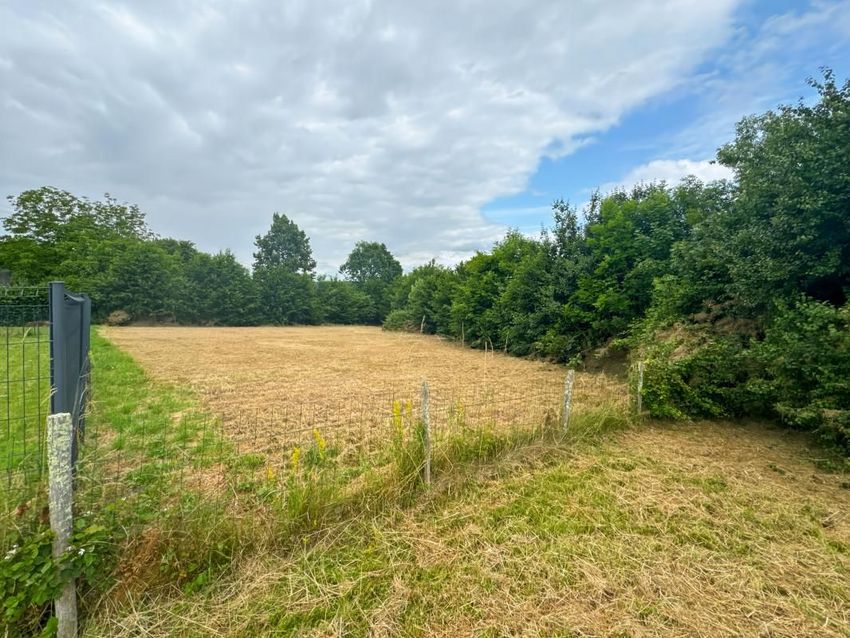 Image de terrain à Mensignac