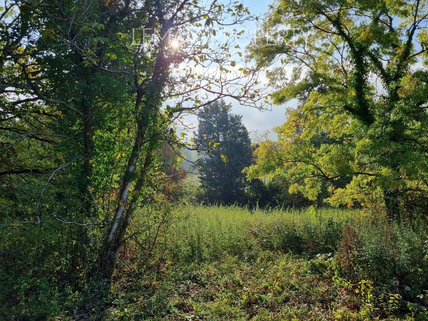 Image de terrain à Janvry