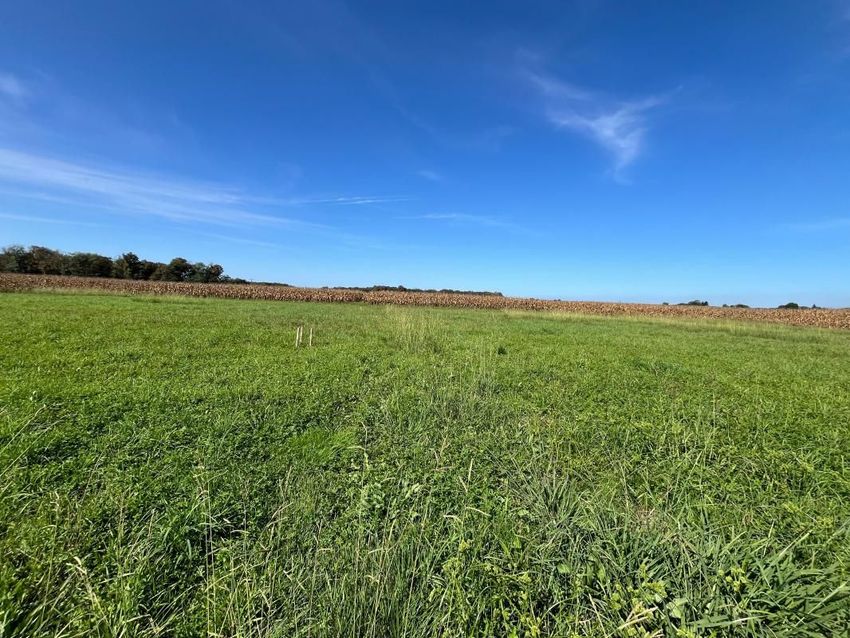 Image Vue à terrain de Onard