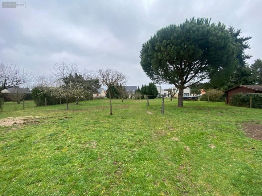 Image de terrain à Les Montils