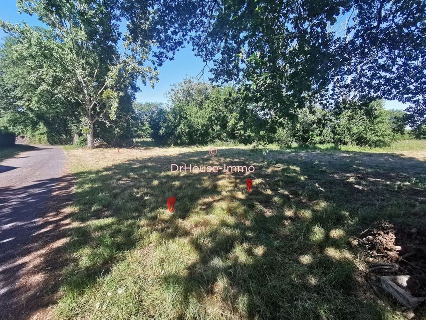 Image de terrain à Tercé