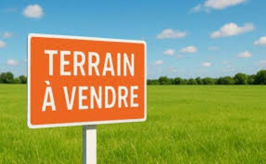 Image de terrain à Commequiers