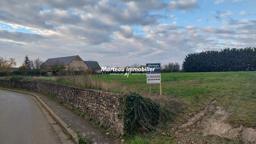 Image de terrain à Bernay-Neuvy-en-Champagne