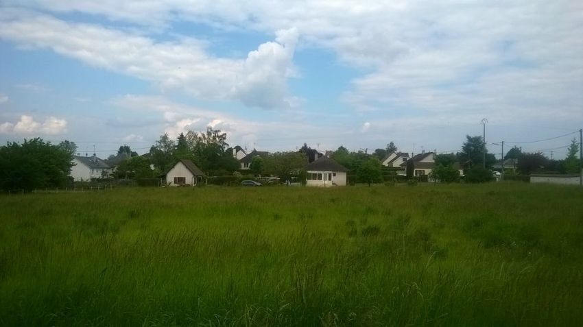 Image Vue à terrain de Muides-sur-Loire