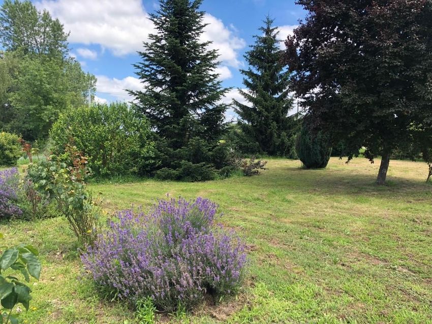 Image de terrain à Saint-Loubès