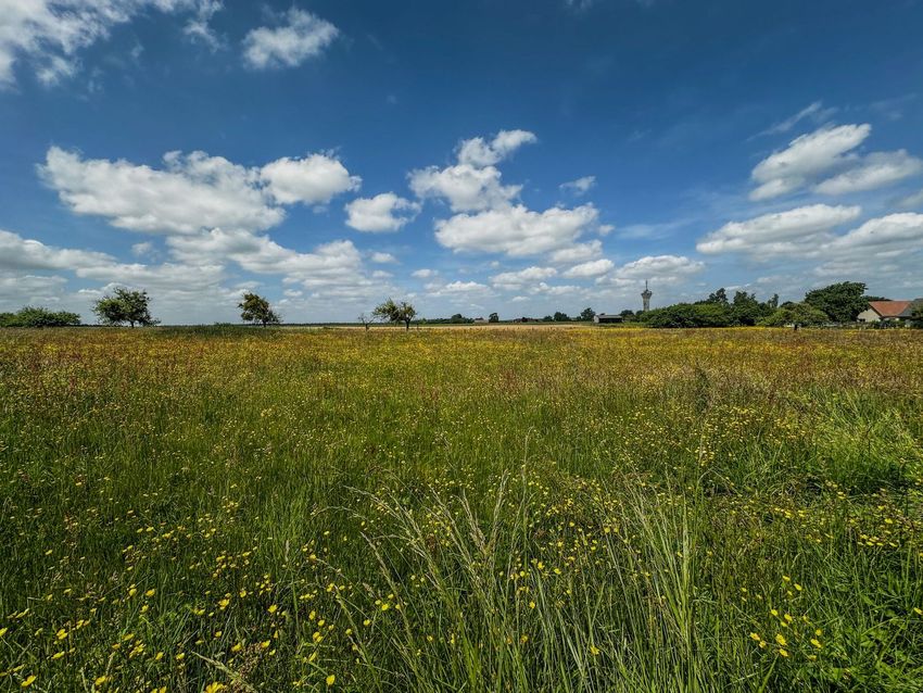 Image Vue à terrain de Louviers