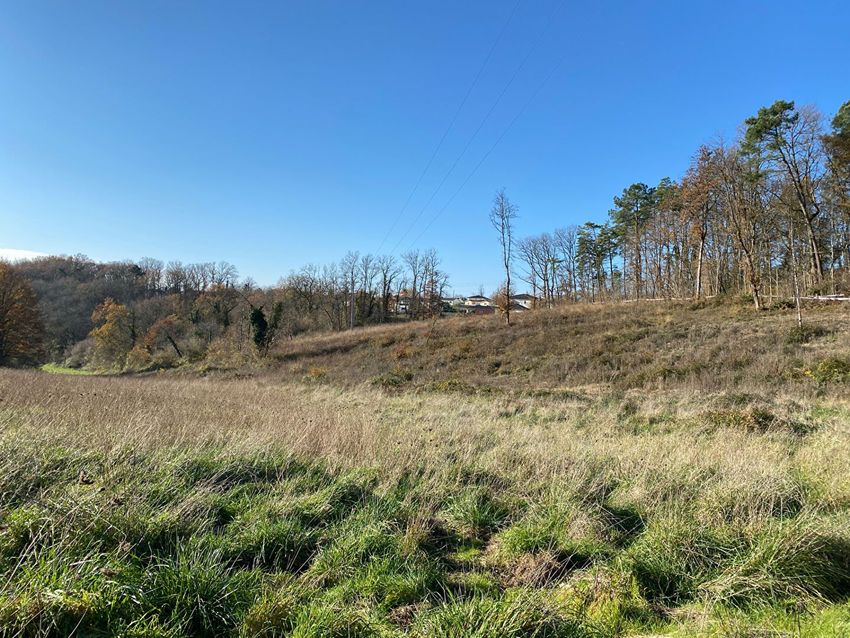 Image de terrain à Trélissac