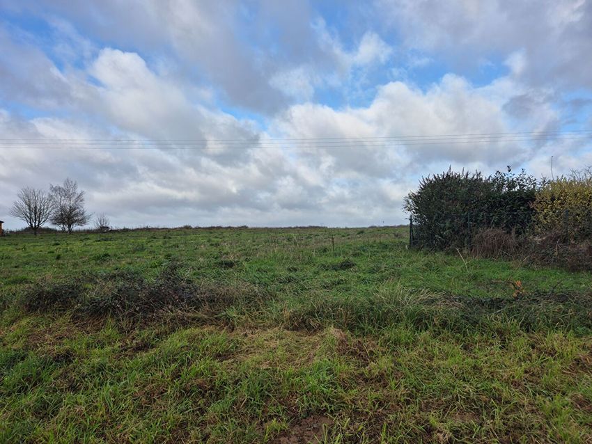 Image de terrain à Saunay