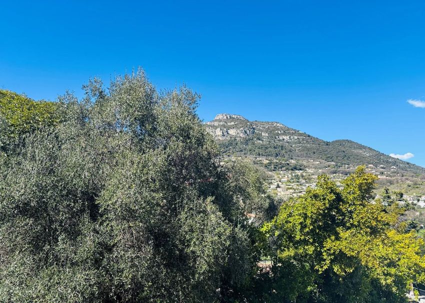 Image Vue à terrain de La Gaude