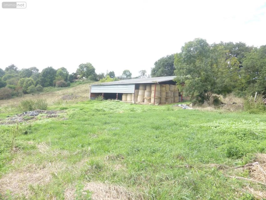 Image de terrain à Gensac-de-Boulogne