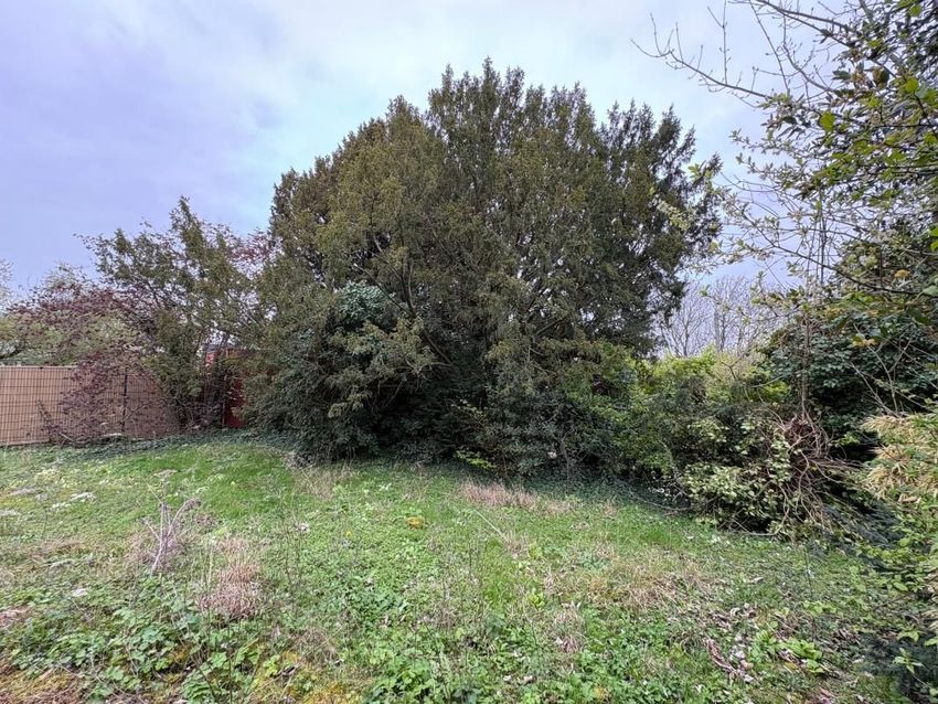 Image de terrain à Ormesson-sur-Marne