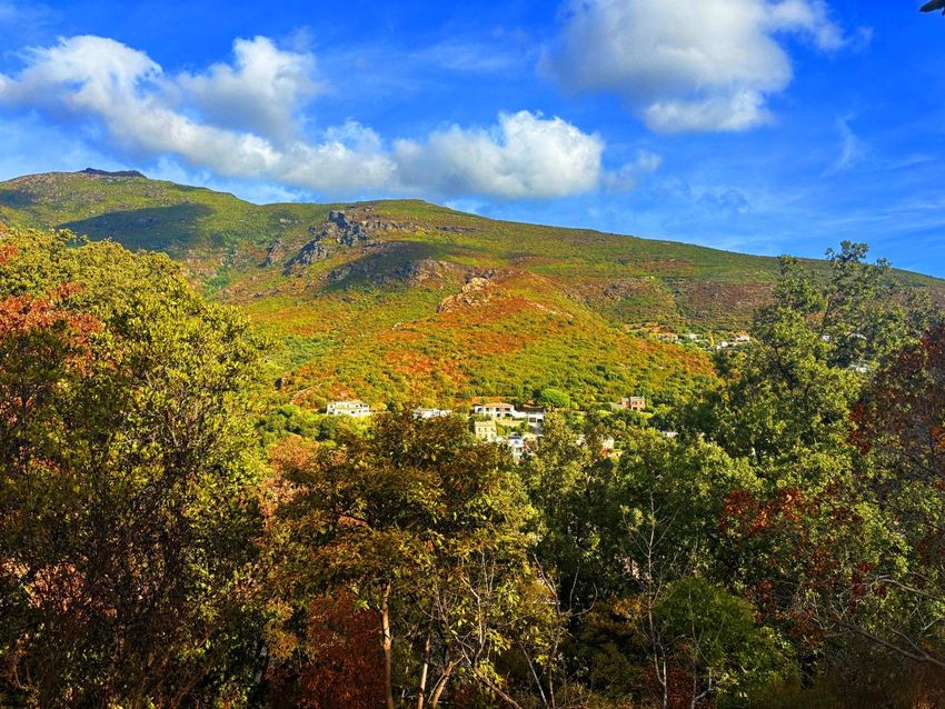 Image Vue à terrain de Santa-Maria-di-Lota