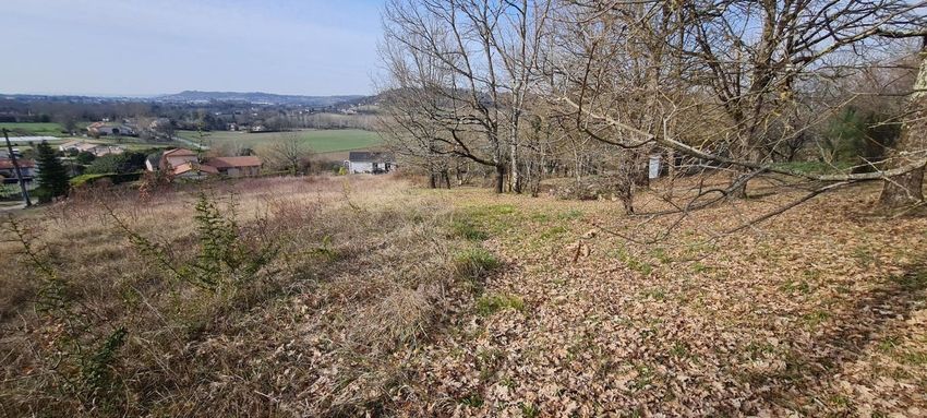 Image Vue à terrain de Lafox