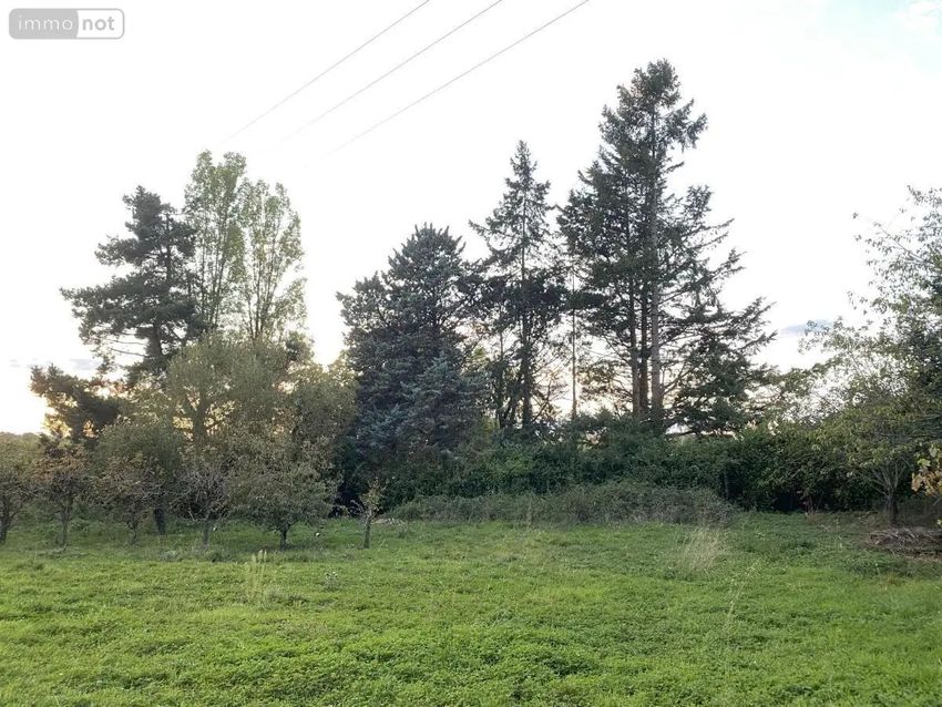 Image de terrain à Longuenée-en-Anjou