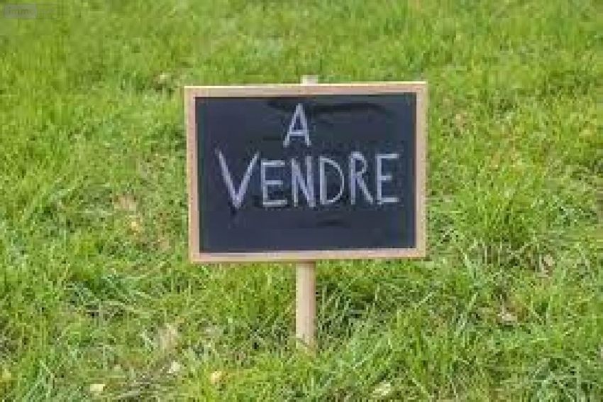 Image de terrain à Bonneuil-Matours