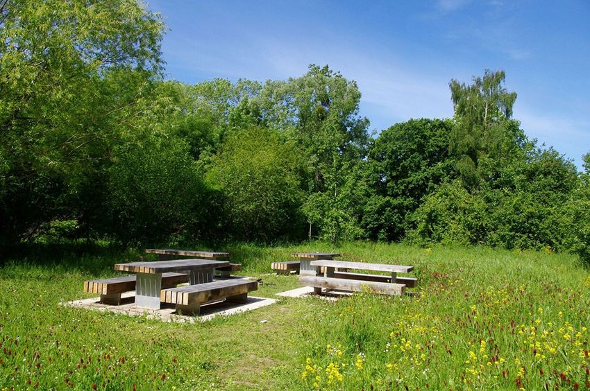 Image Jardin à  maison individuelle de Rennes