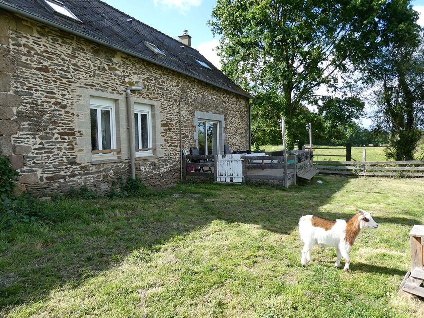 Image Façade à  maison mitoyenne de Lassay-les-Châteaux