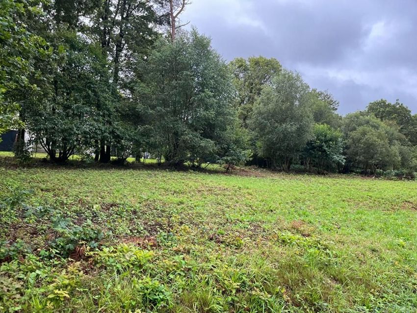 Image de terrain à Treffrin