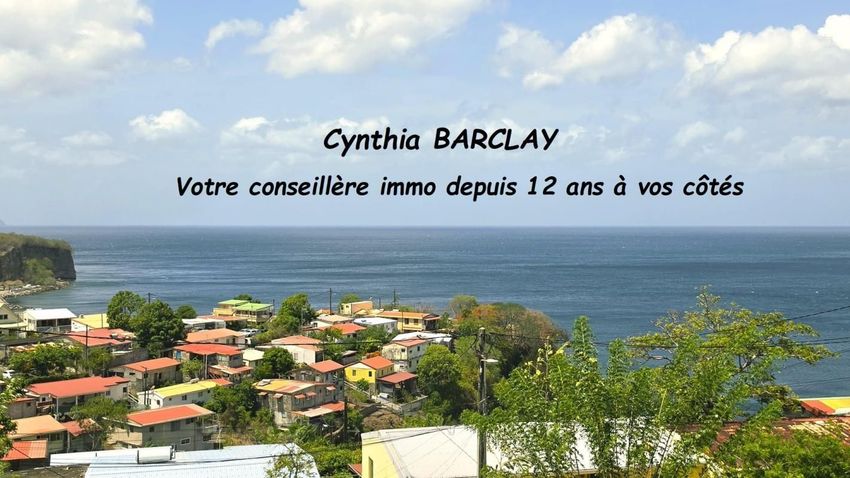 Image Vue à terrain de Schœlcher
