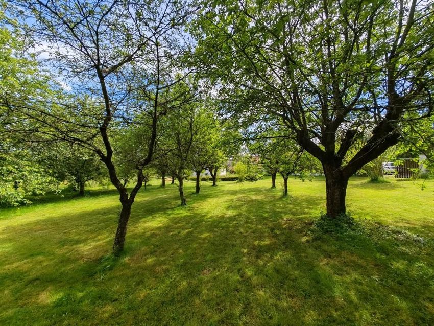 Image Jardin à  château de Vouneuil-sur-Vienne