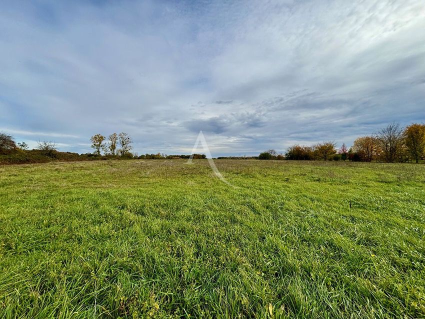 Image de terrain à Soings-en-Sologne
