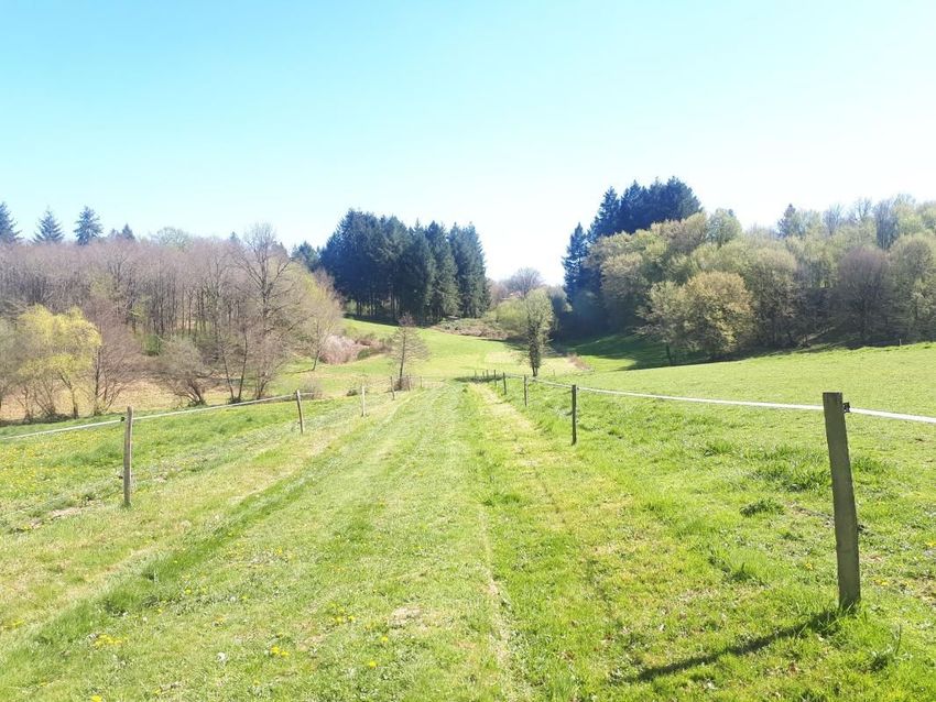 Image de terrain à Vayres