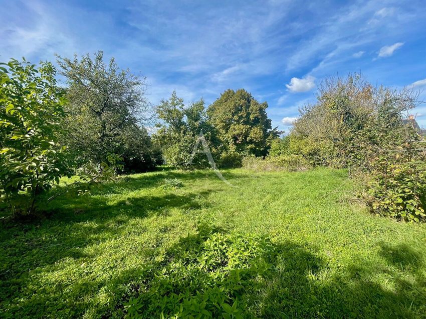 Image de terrain à Brissac Loire Aubance