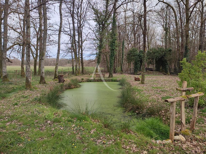 Image de terrain à Lamotte-Beuvron
