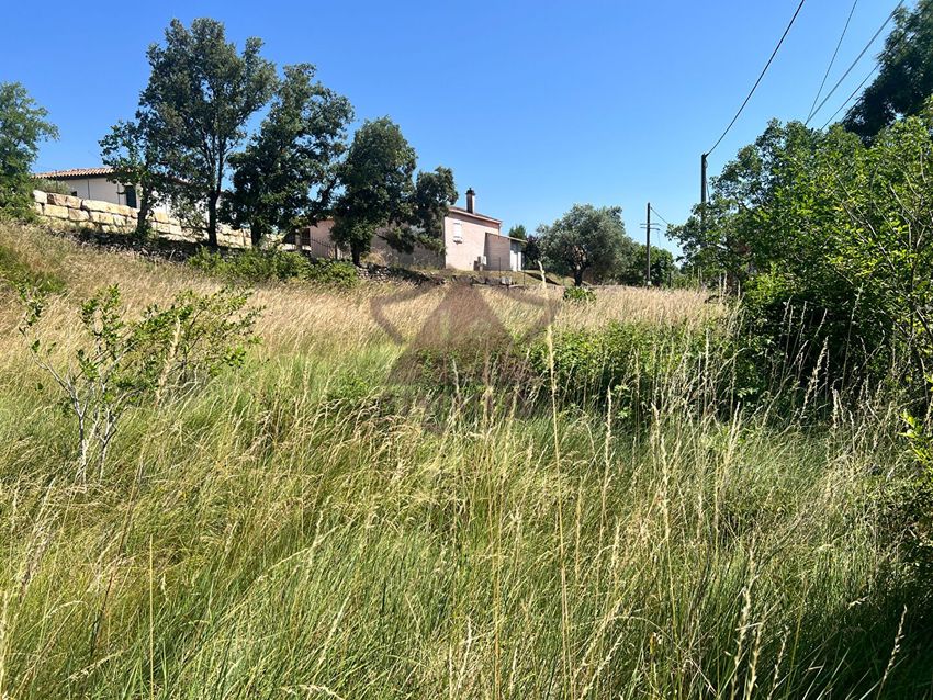 Image de terrain à Saint-Brès