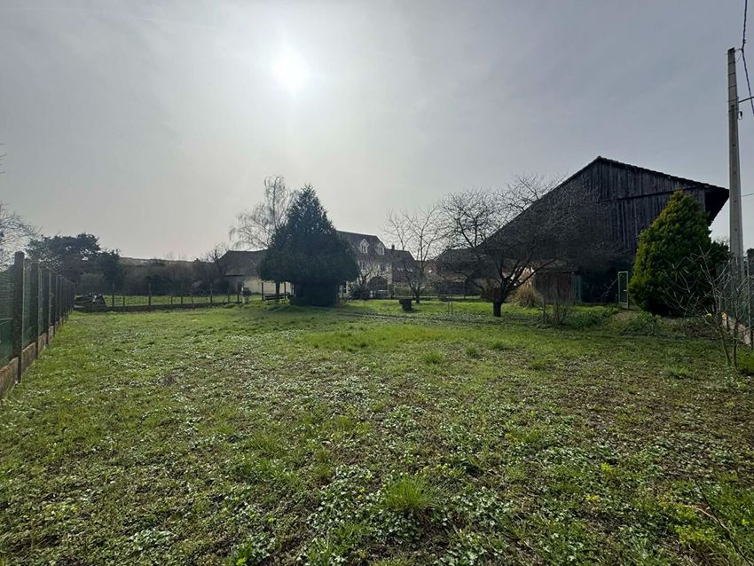 Image de terrain à Gundolsheim