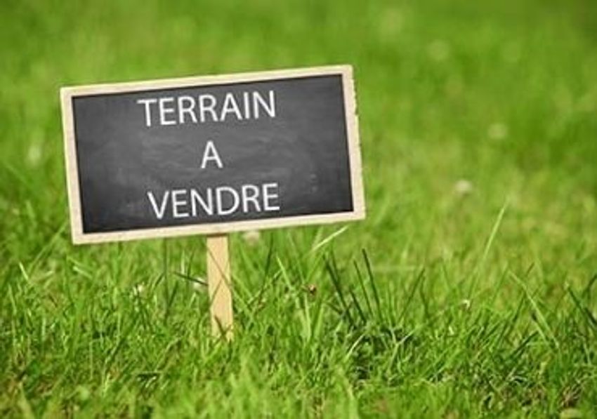 Image de terrain à Saint-Didier-en-Velay