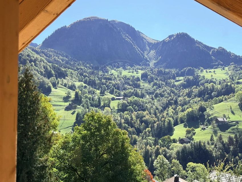 Image Vue à  chalet de montagne de Manigod