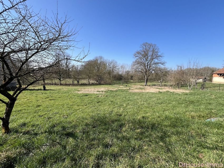 Image de terrain à Saint-Benoît-sur-Seine