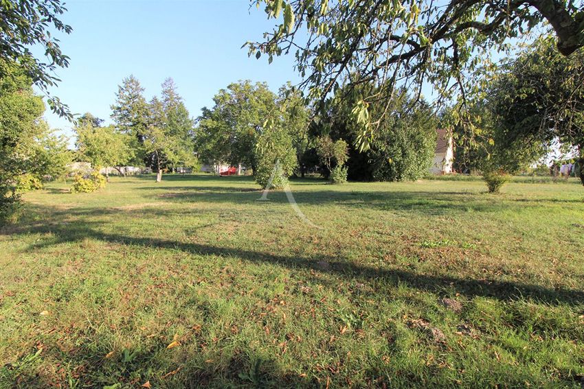 Image de terrain à Saint-Georges-sur-Cher