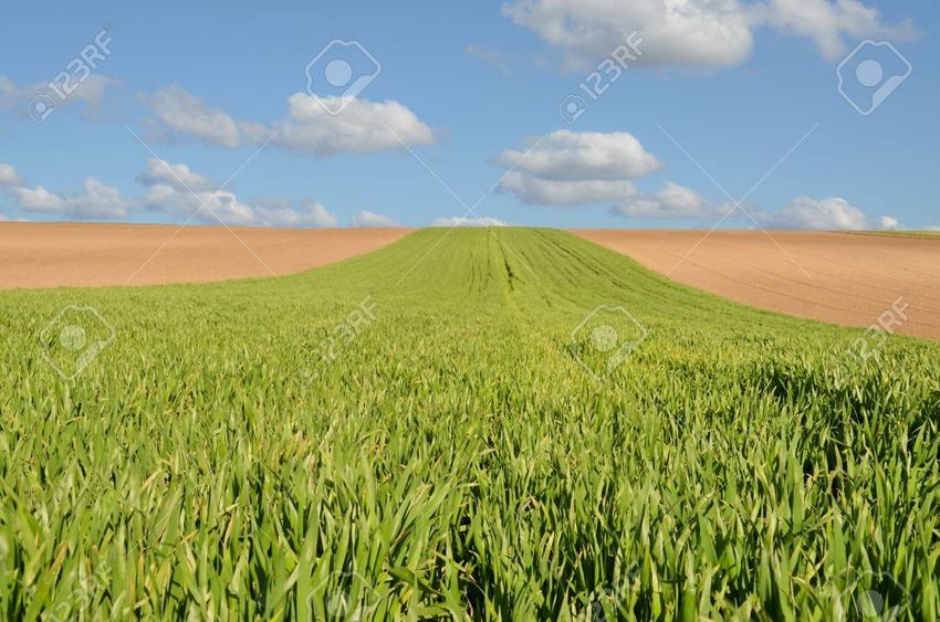 Image Vue à terrain de Rennes