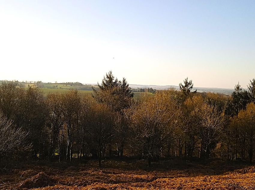 Image Jardin à  propriété agricole de Le Haut-Corlay