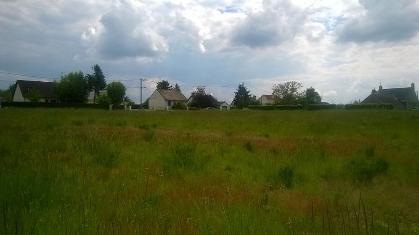 Image de terrain à Muides-sur-Loire