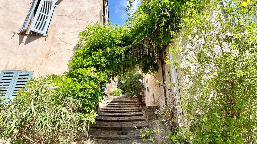 Image Jardin à  maison de village de Grimaud