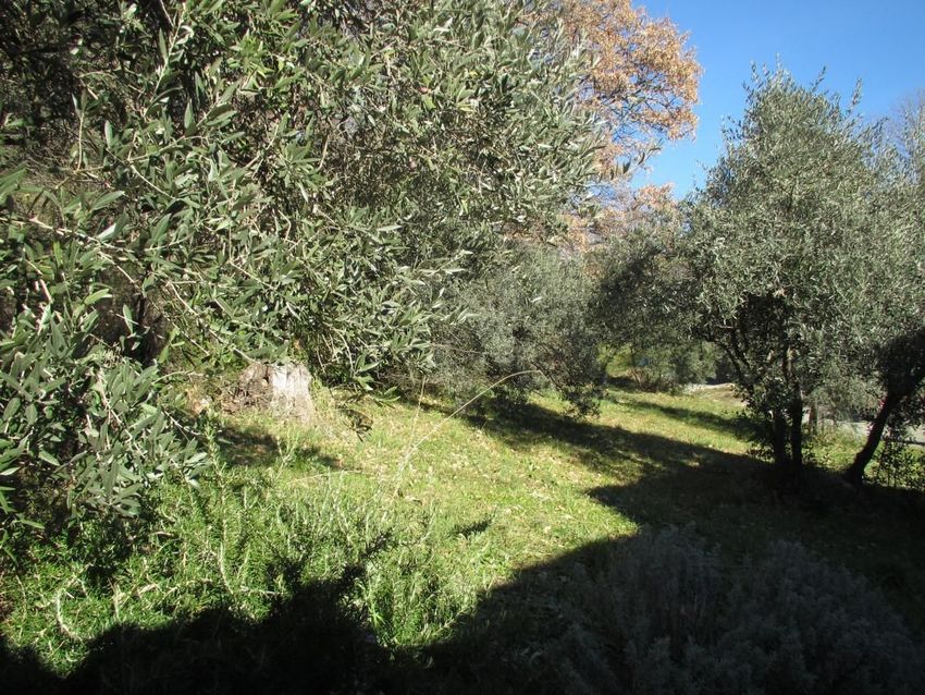 Image de terrain à Peyruis