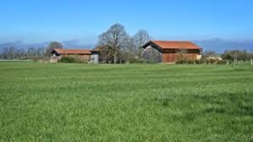 Image de terrain à Roz-Landrieux
