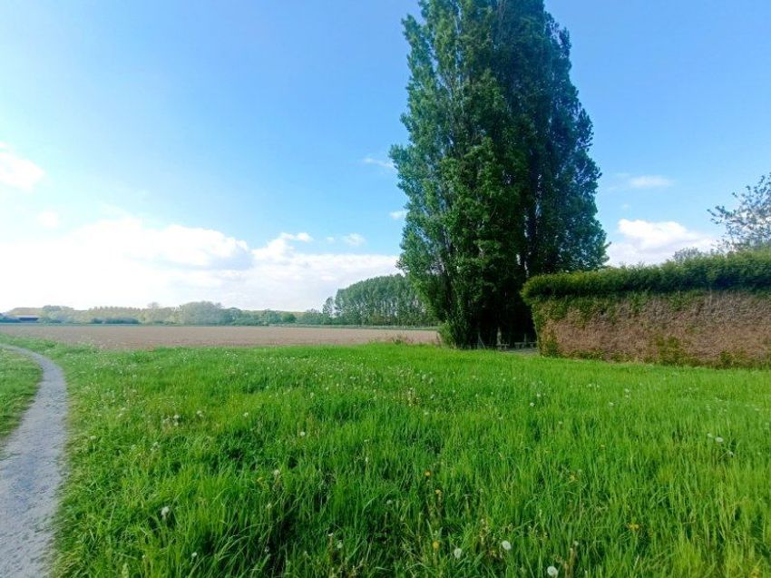 Image de terrain à Coutiches