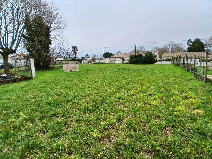 Image de terrain à Saint-Georges-de-Didonne