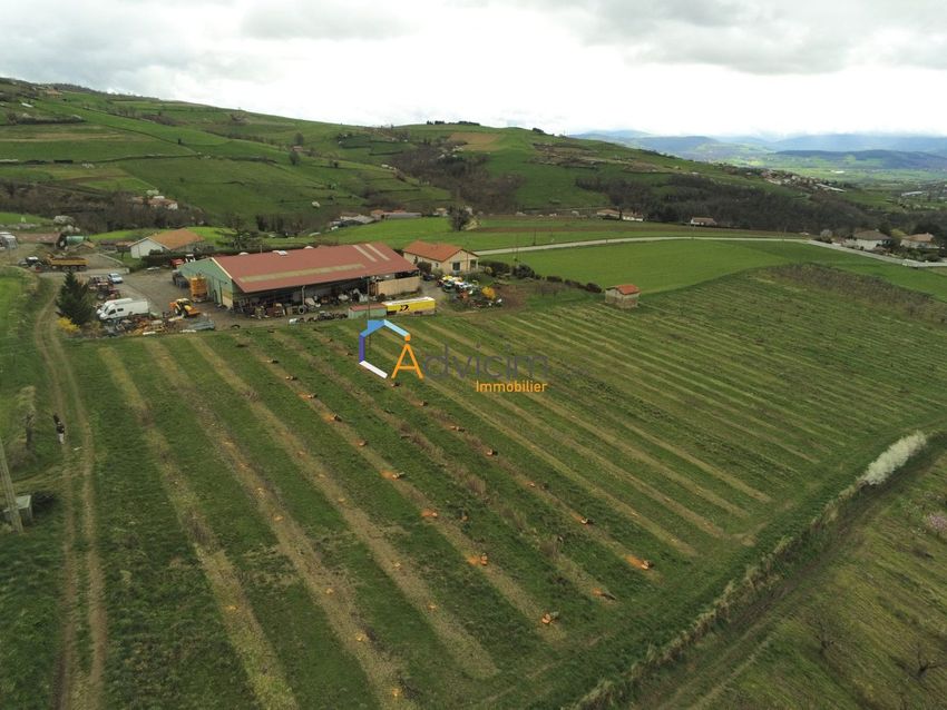 Image de terrain à Saint-Romain-en-Jarez
