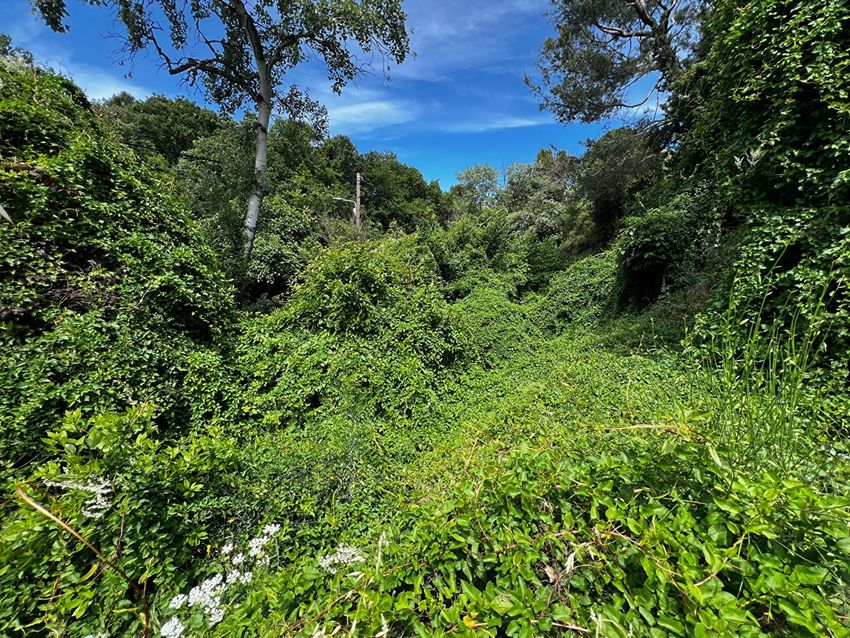 Image de terrain à Villeneuve-lès-Avignon