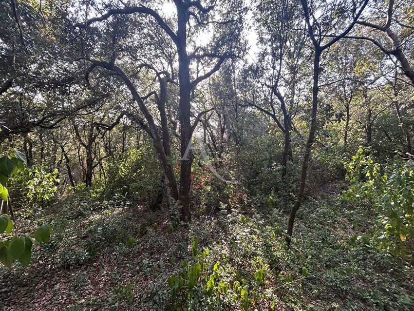 Image de terrain à Alairac