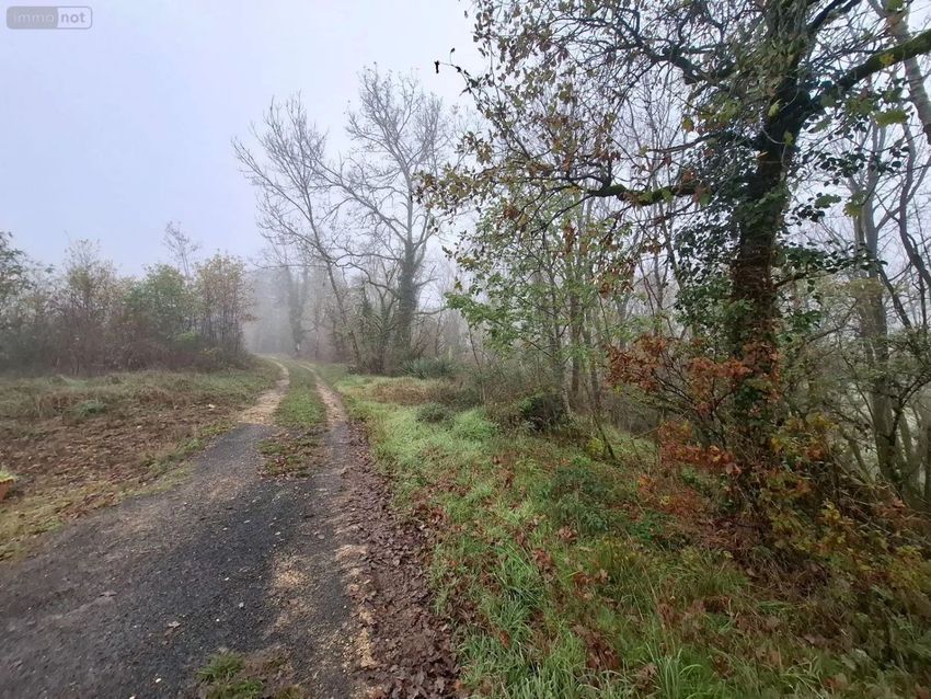 Image de terrain à Saint-Léon-sur-Vézère