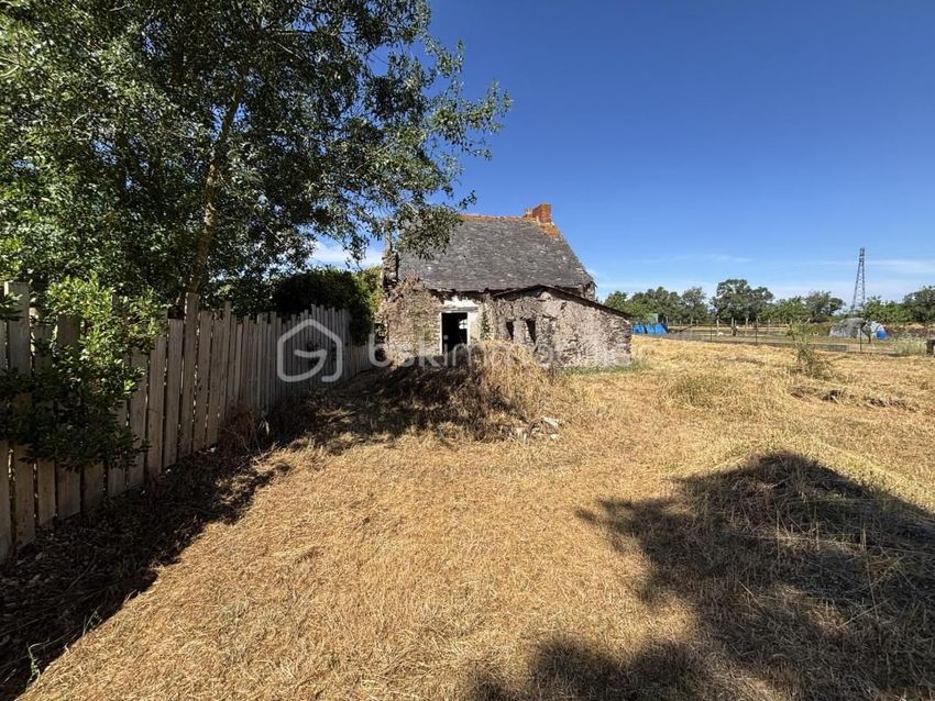 Image de terrain à Vair-sur-Loire